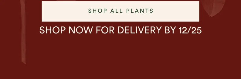 shop all plants