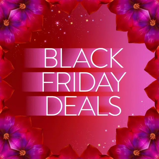 Black Friday deals.