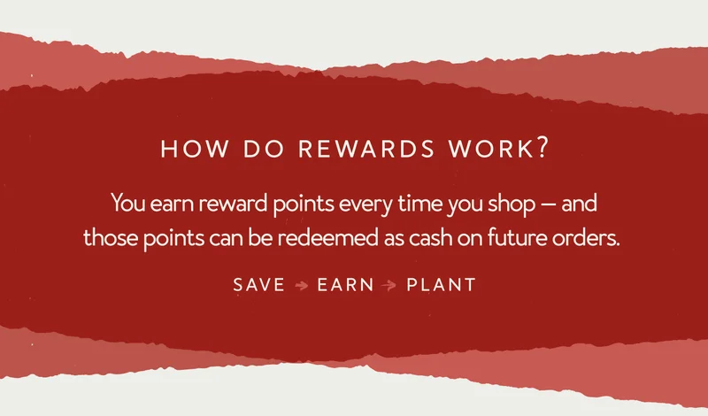 How do rewards work?