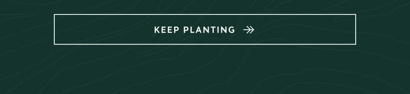 Keep Planting