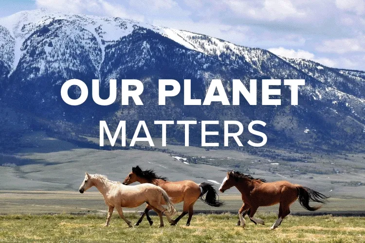 OUR PLANET MATTERS