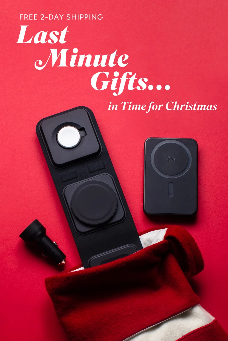 Free 2-Day Shipping Last Minute Gifts...in time for Christmas
