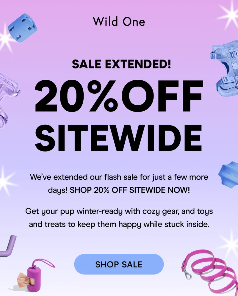 Flash Sale