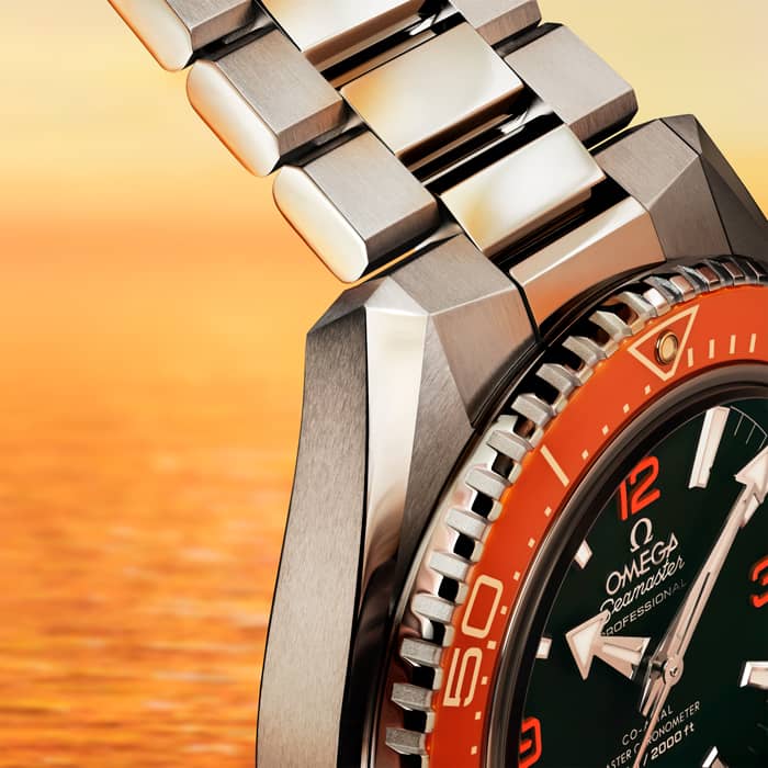 Seamaster Planet Ocean 600M 42 mm, steel on steel - 21730422101003 strap