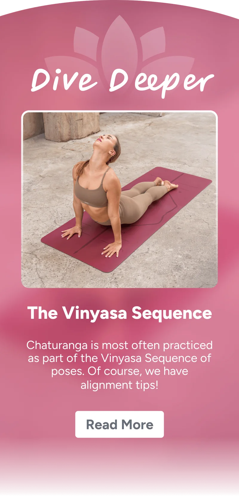 Dive Deeper – The Vinyasa Sequence