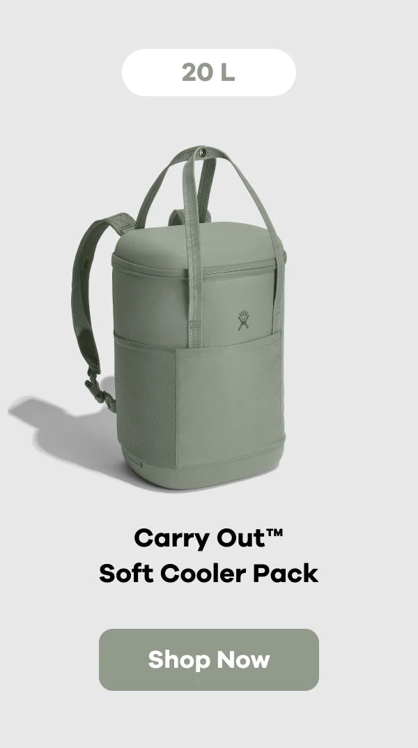 20 L Carry Out™ Soft Cooler Pack | Shop Now