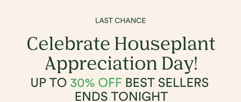 sale ends tonight! save up to 30% on best sellers this weekend only