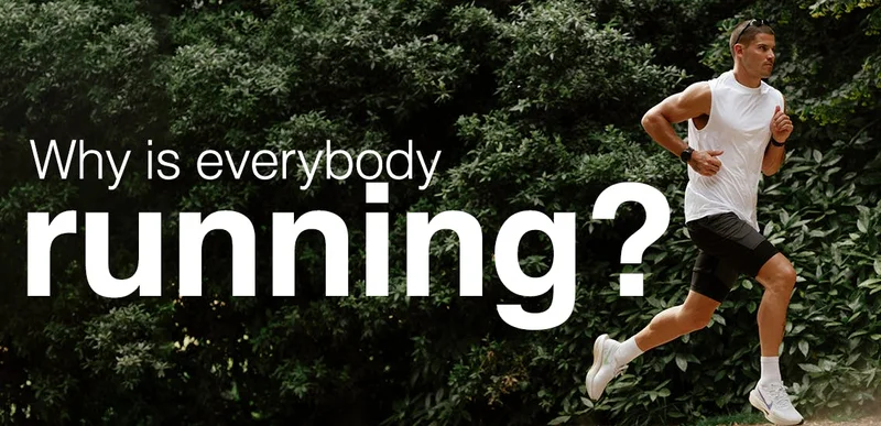 Why is everybody running?