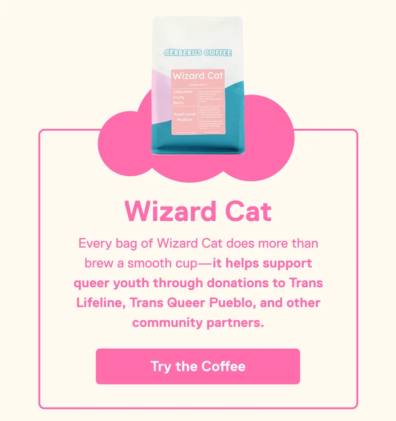 Wizard Cat