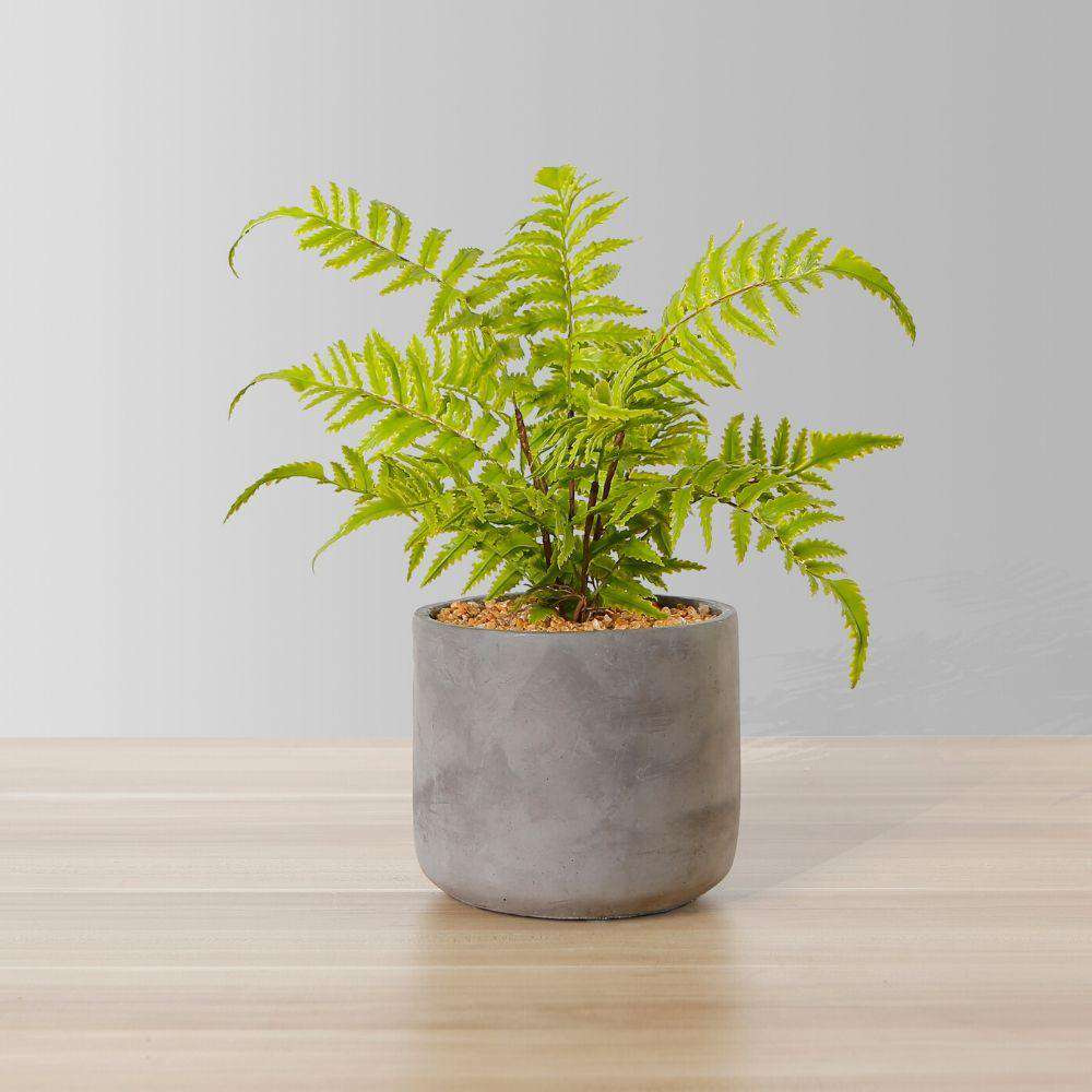 Image of Kuta Potted Faux Fern