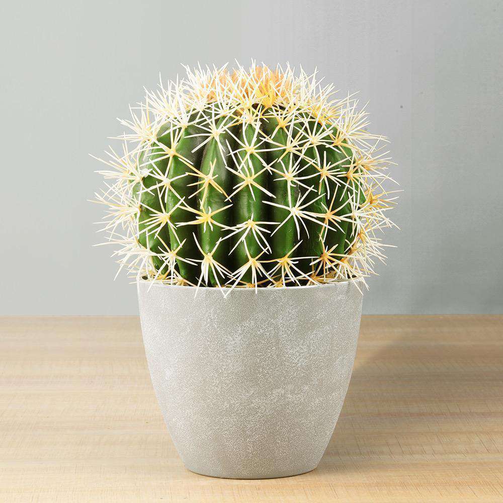 Image of Coco Artificial Cactus Potted Plant