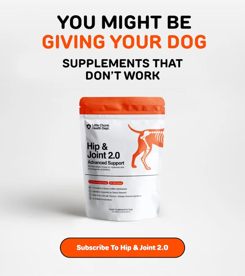 YOU MIGHT BE GIVING YOUR DOG