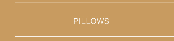 Shop Pillows