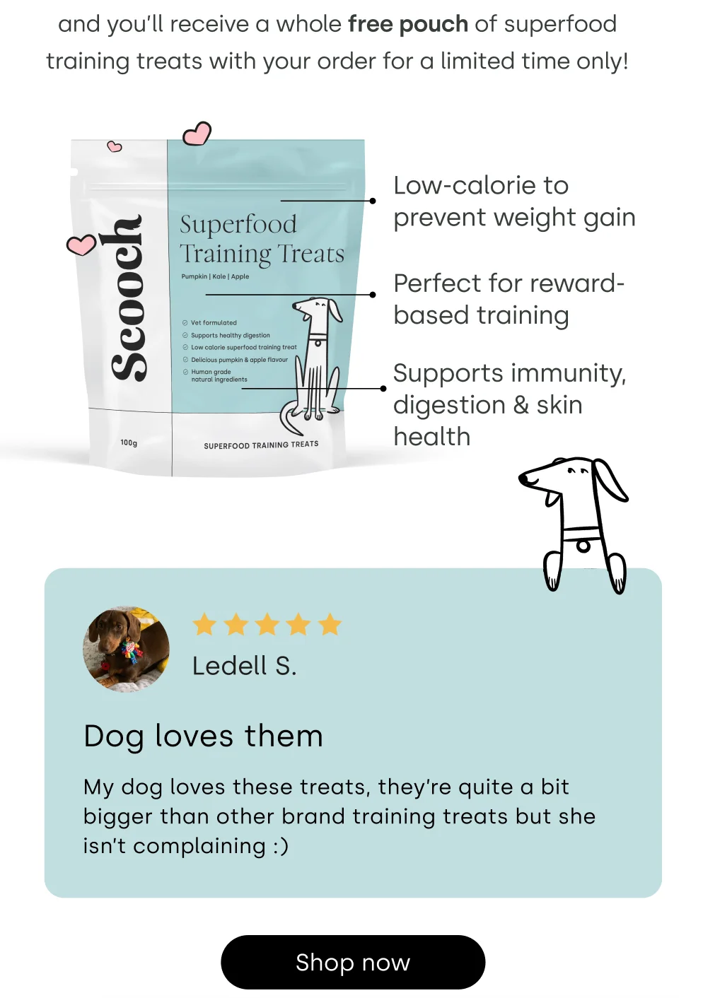 free training treats at Scooch