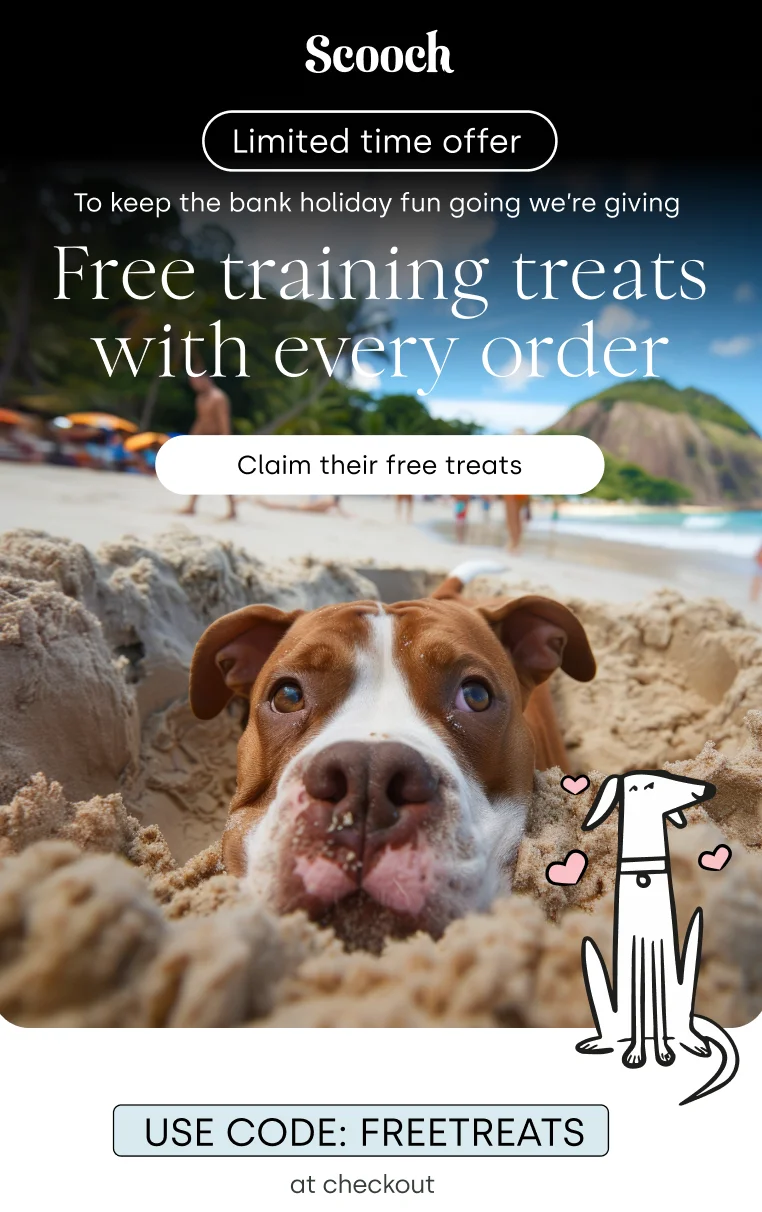 free training treats at Scooch