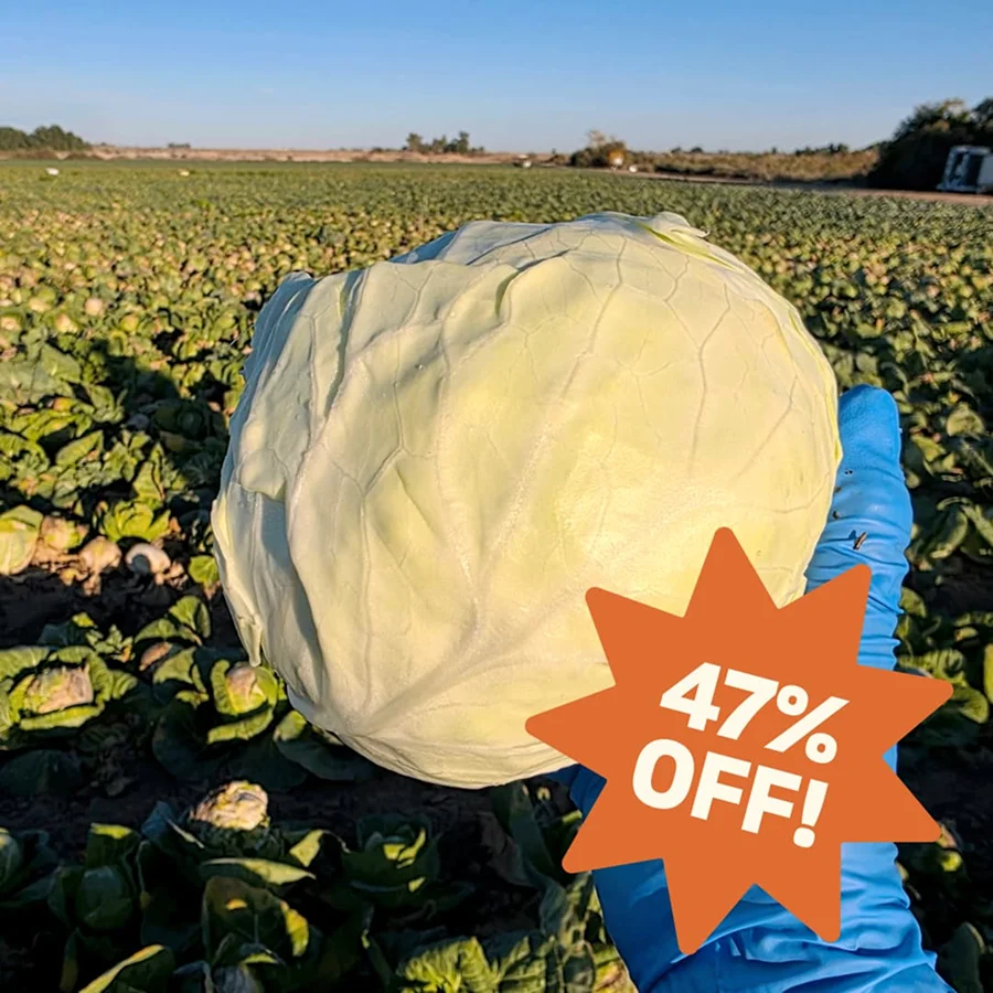 Jumbo Cabbages