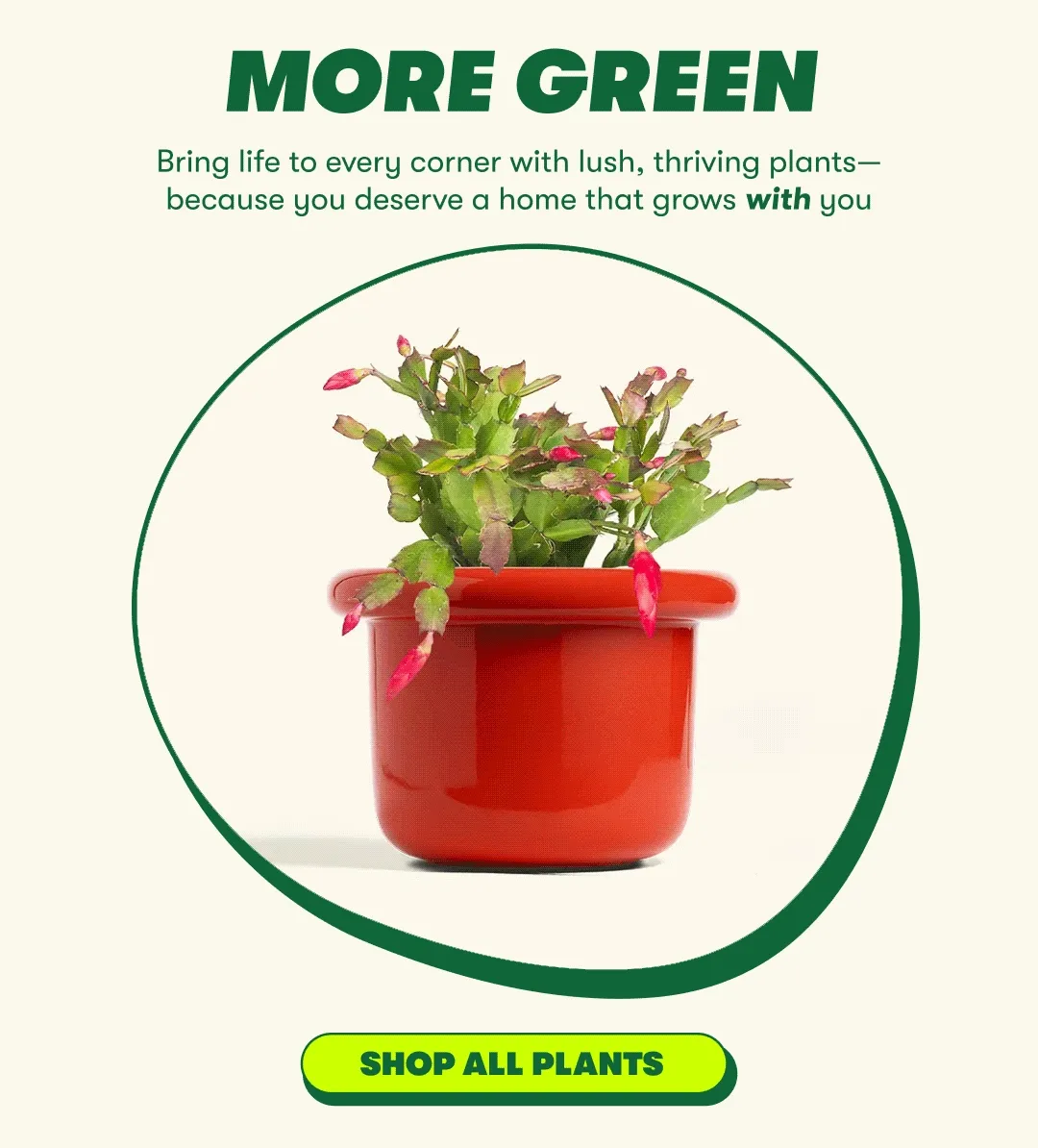 MORE GREEN | Bring life to every corner with lush, thriving plants—because you deserve a home that grows with you [SHOP ALL PLANTS]