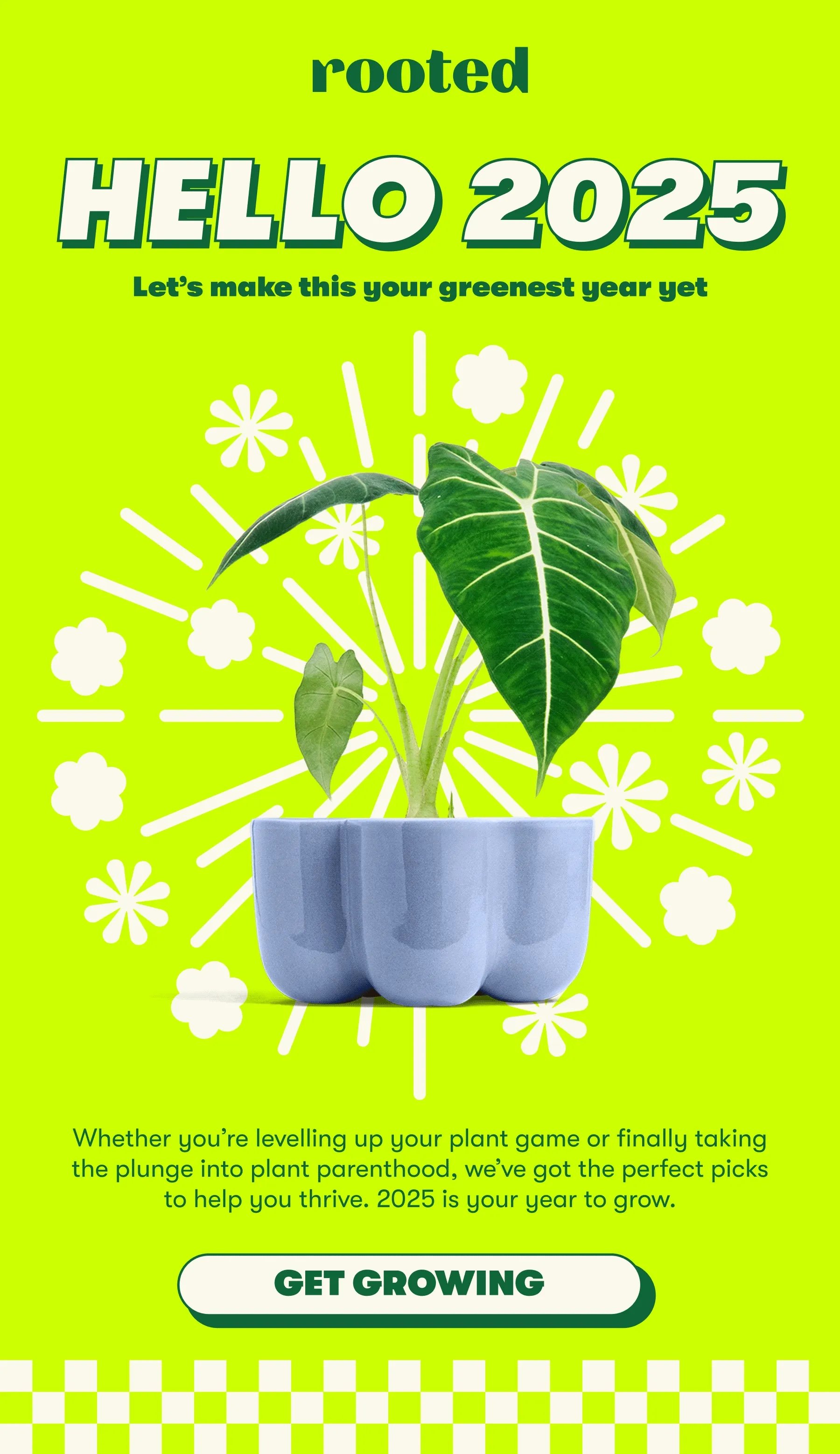 HELLO 2025 | Let’s make this your greenest year yet Whether you’re levelling up your plant game or finally taking the plunge into plant parenthood, we’ve got the perfect picks to help you thrive. 2025 is your year to grow. [GET GROWING]