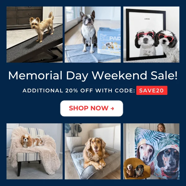 Memorial Day Sale
