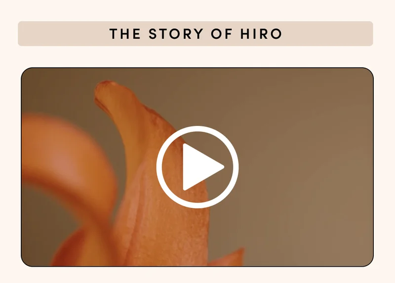 THE STORY OF HIRO