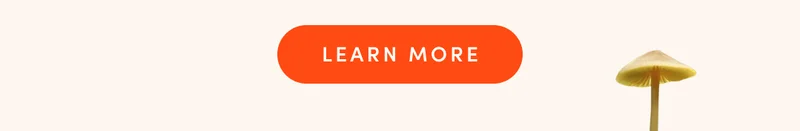 LEARN MORE