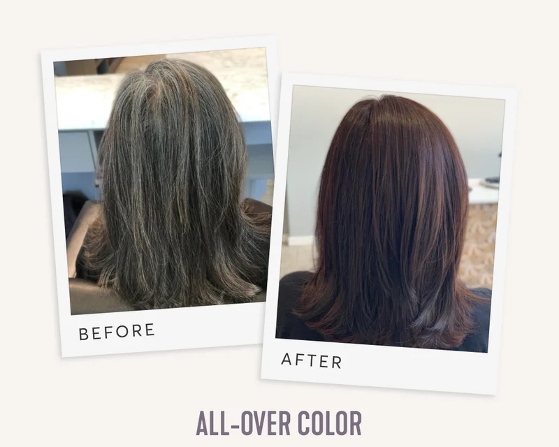 Before & After | All-Over Color