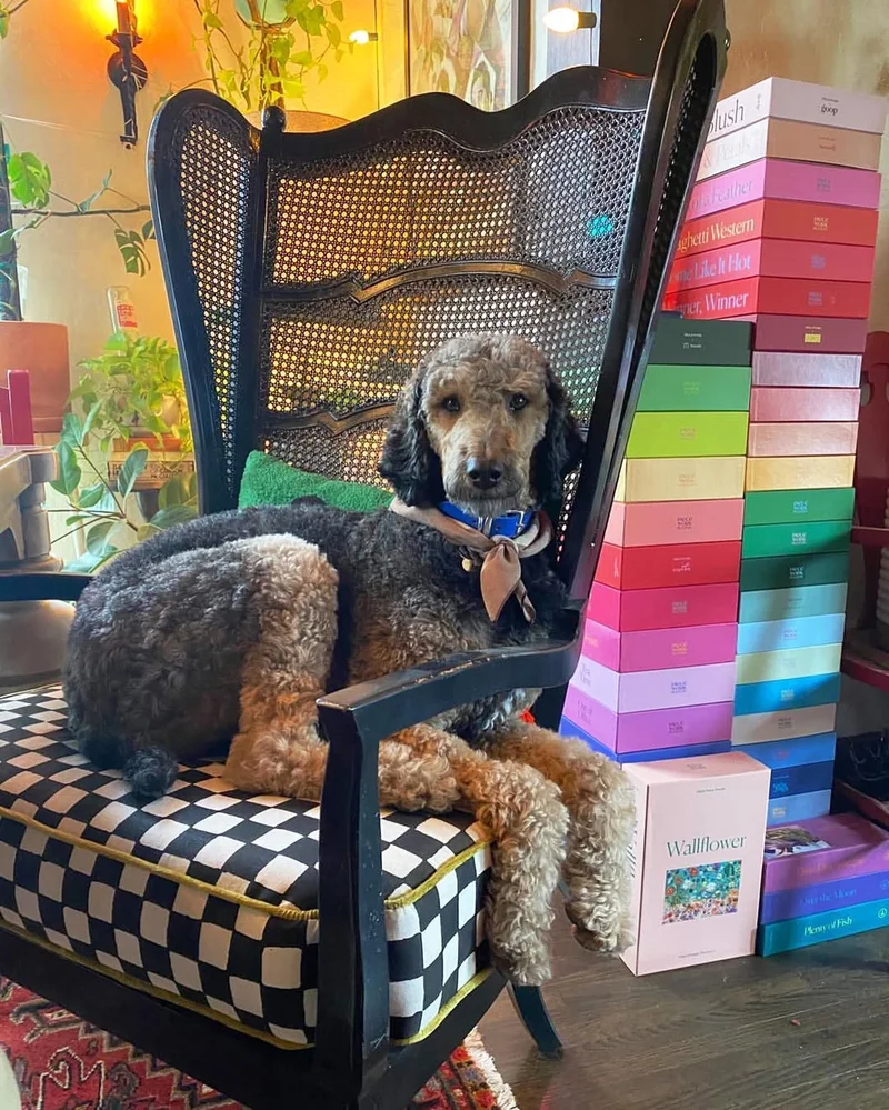 Cute dog surrounded by Piecework puzzle boxes