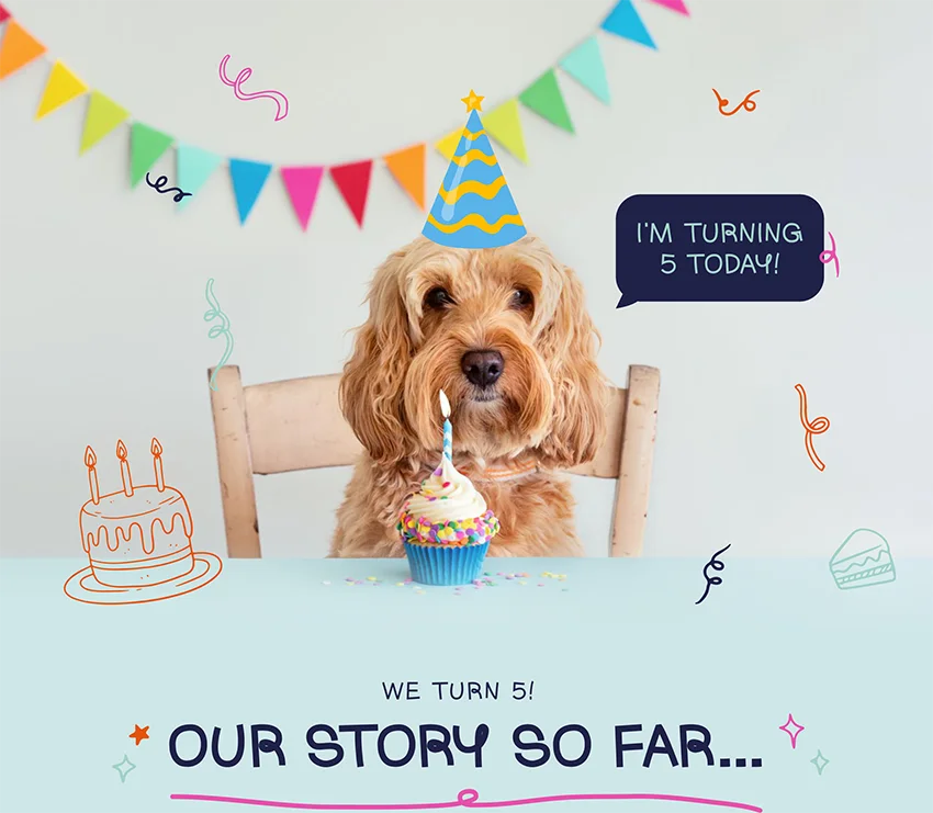 We turn 5 years old! Our Story so far...