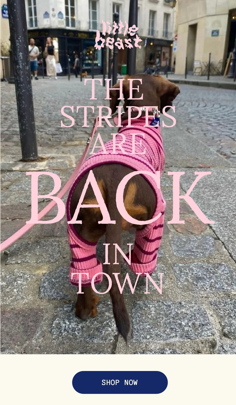 The Stripes are Back in Town