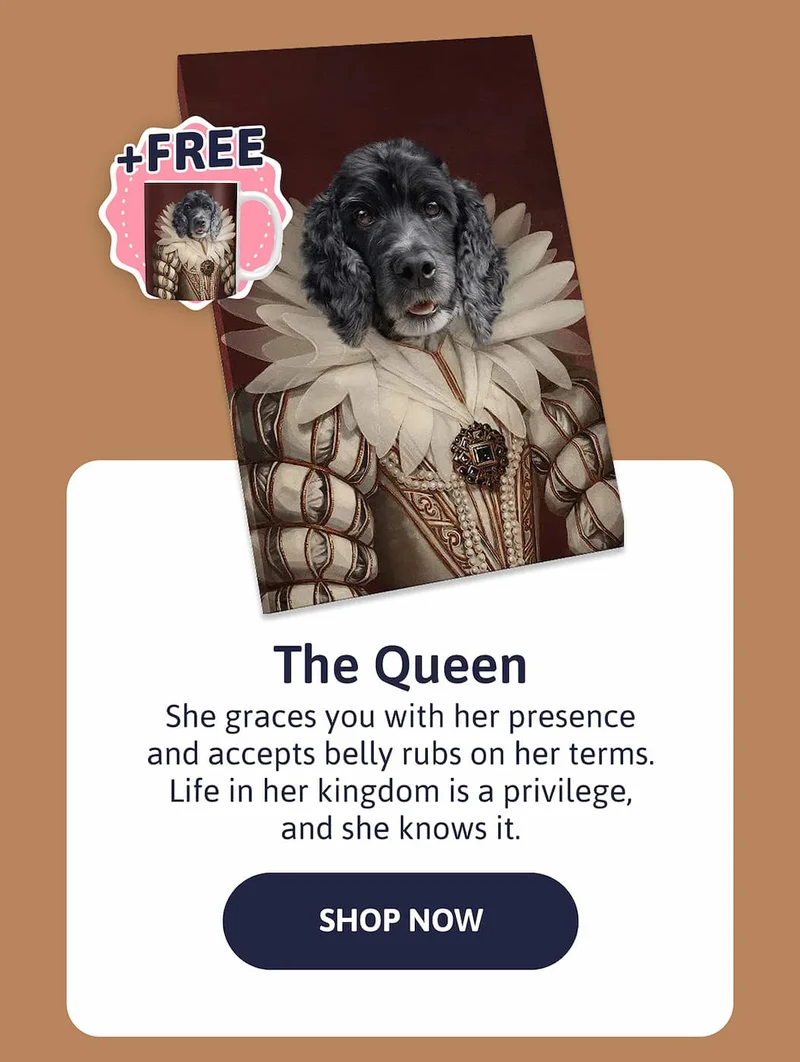 The Queen - She graces you with her presence and accepts belly rubs on her terms. Life in her kingdom is a privilege, and she knows it.