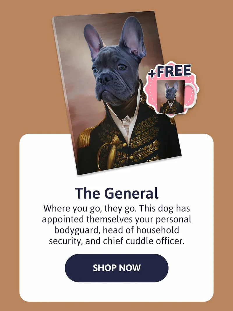 The General - Where you go, they go. This dog has appointed themselves your personal bodyguard, head of household security, and chief cuddle officer.