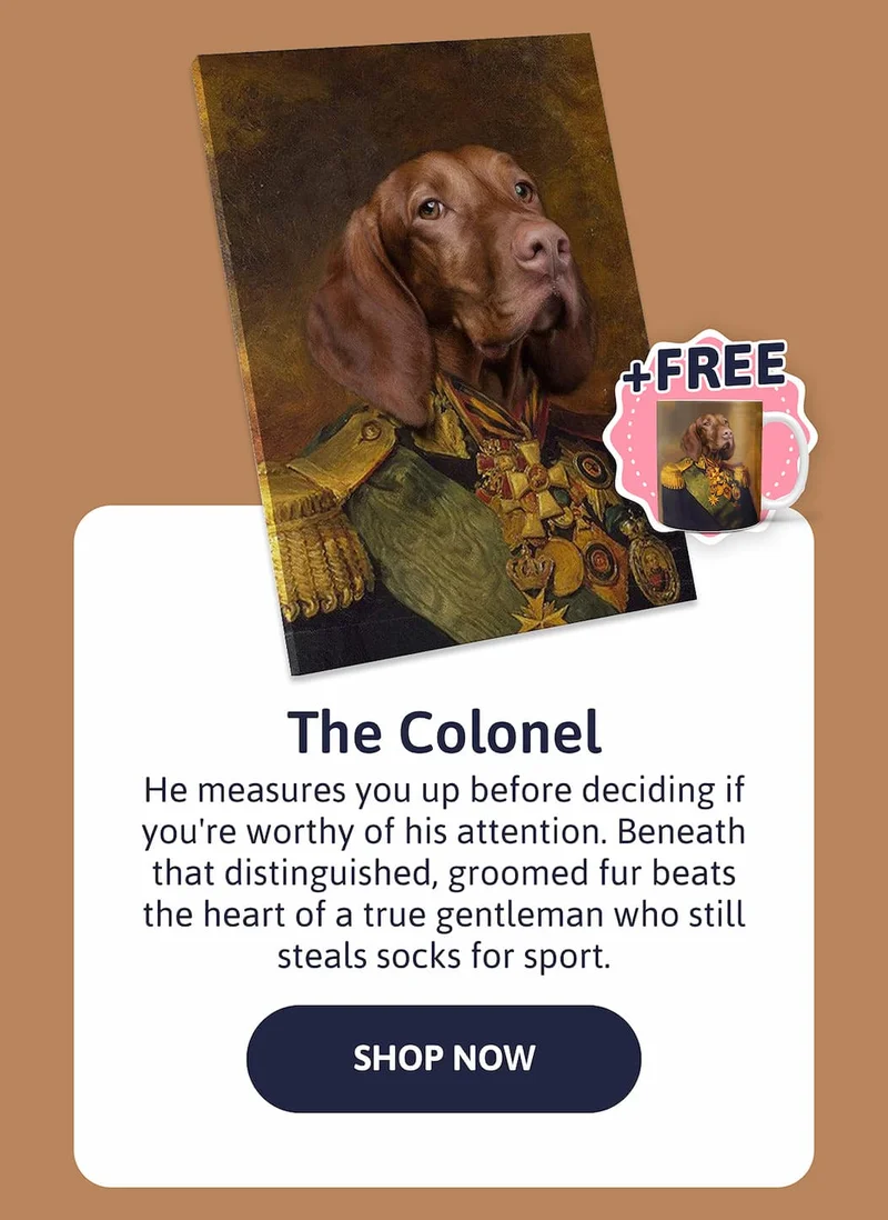 The Colonel - He measures you up before deciding if you're worthy of his attention. Beneath that distinguished, groomed fur beats the heart of a true gentleman who still steals socks for sport