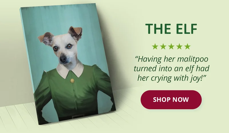 The Elf ⭐⭐⭐⭐⭐ “Having her malitpoo turned into an elf had her crying with joy!”