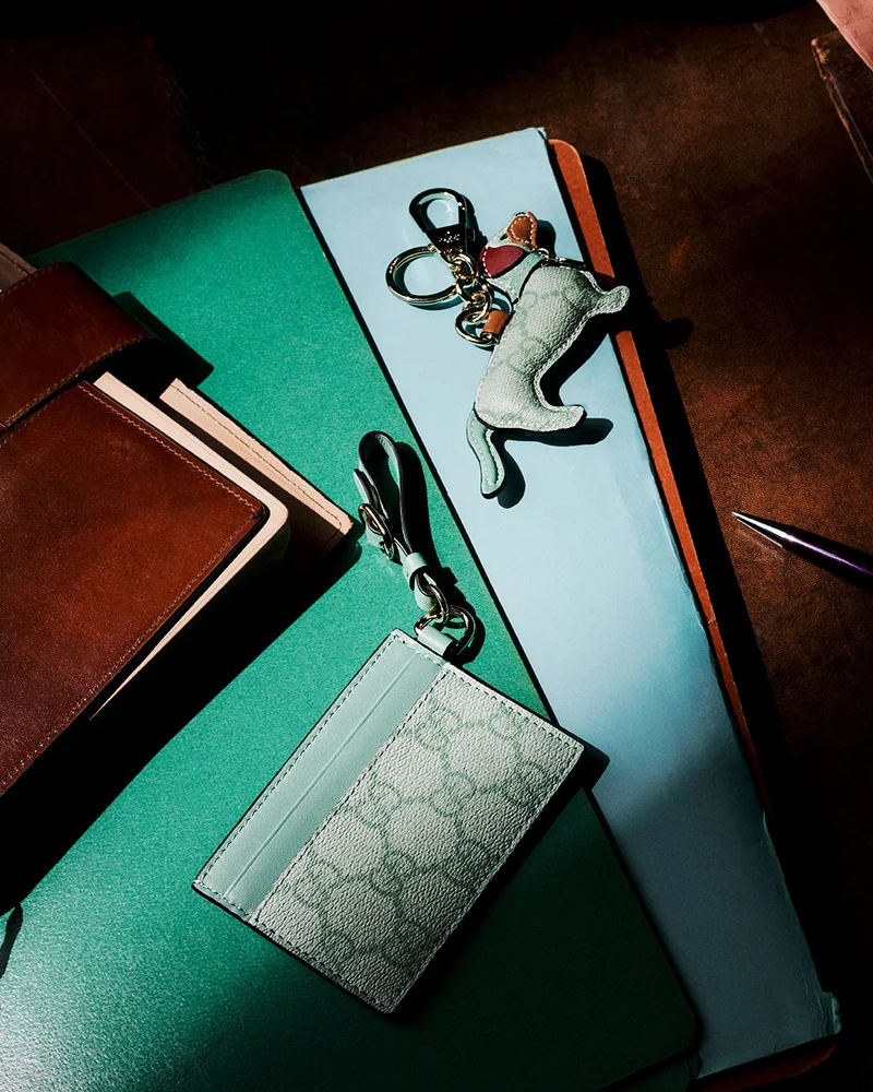 Discover more on the Gucci website