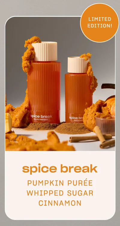spice break - pumpkin purée whipped sugar cinnamon