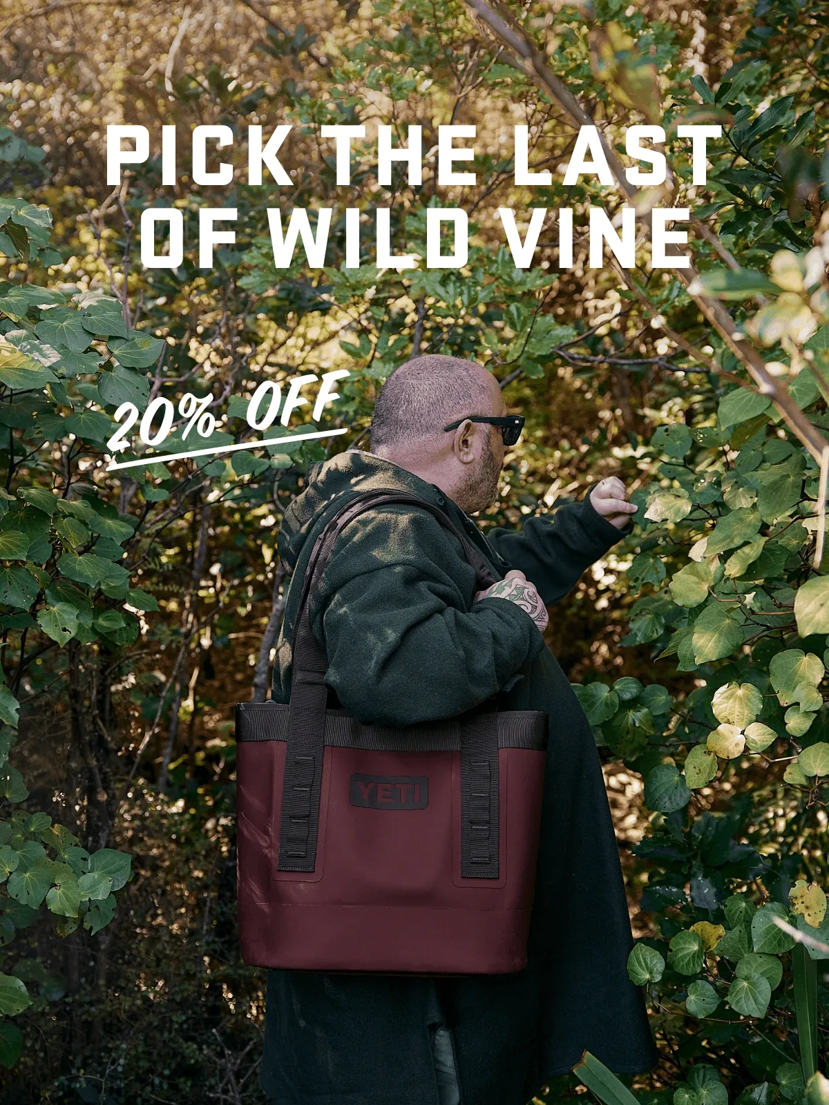 20% Off The Wild Vine Collection