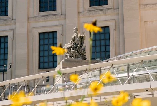 The Brooklyn Museum exterior with yellow flowers