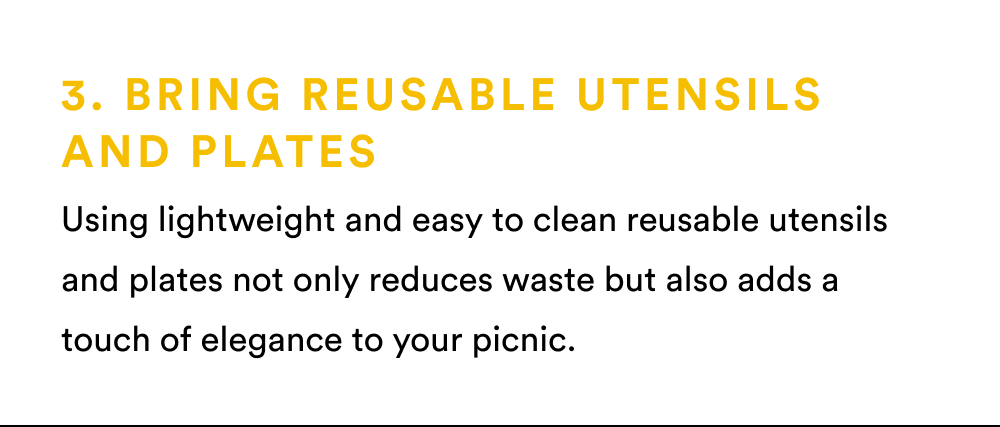 3. Bring Reusable Utensils and Plates