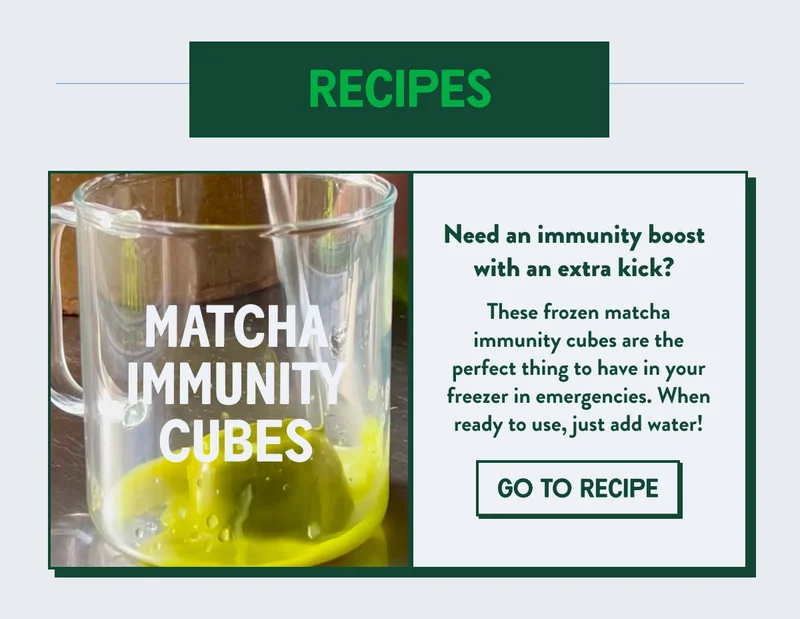 Matcha Immunity Cubes