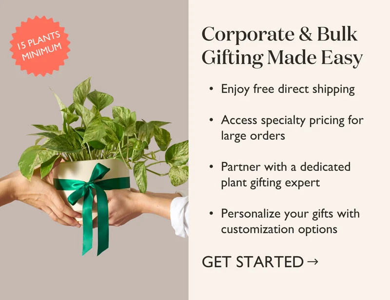 Learn About Our Easy Corporate Gifting Program