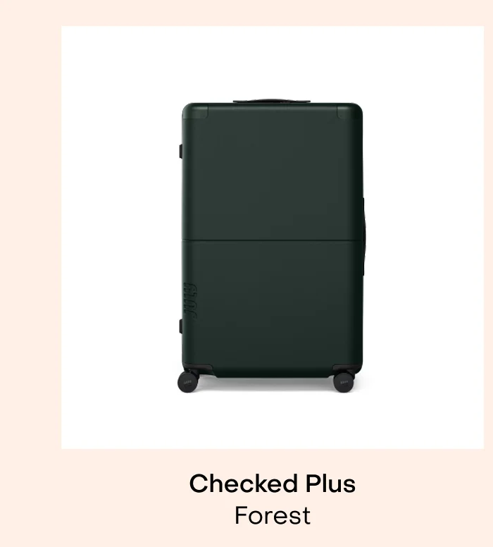 Checked Plus Forest