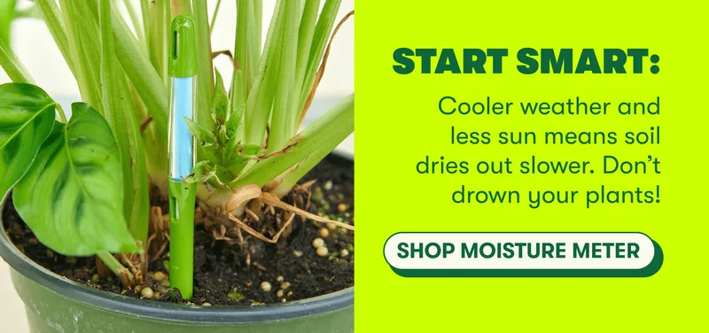 Water Less  Cooler weather and less sun means soil dries out slower. Don’t drown your plants! [SHOP MOISTURE]