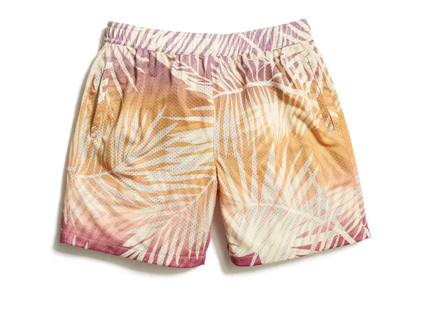 6" Mesh Short