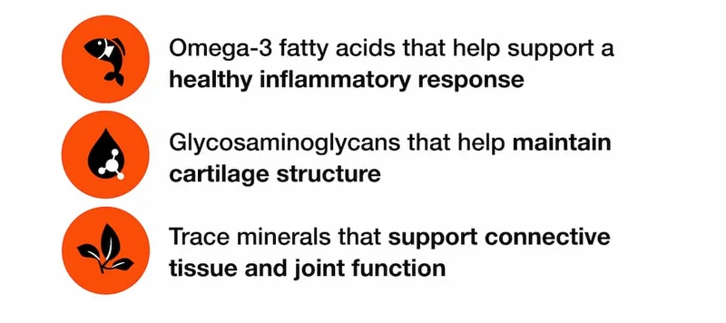 Omega-3 fatty acids that help support a healthy inflammatory response  Glycosaminoglycans that help maintain cartilage structure  Trace minerals that support connective tissue and joint function