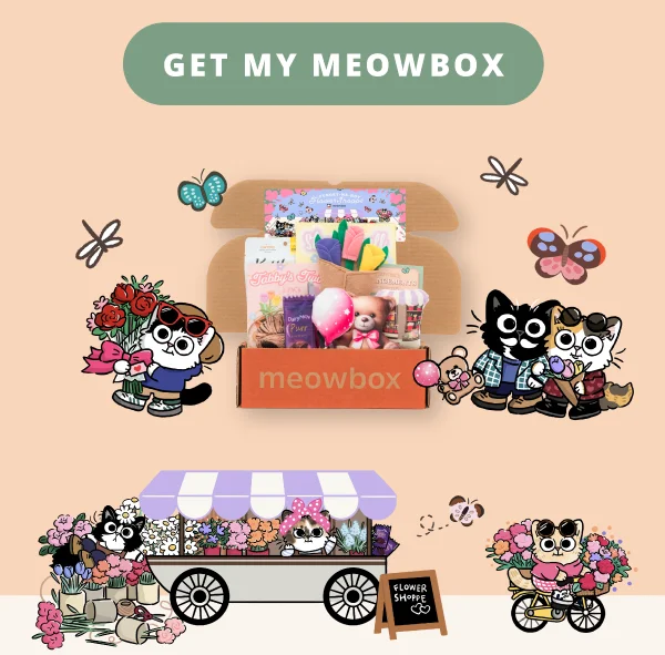 Get my meowbox! Image of the Furget-me-not Flower Shoppe meowbox (featuring toys like the Tabby's Twine 2 Pack, Meowbile Arrangements, Cocoa and Cuddles 2 pack toys and more)