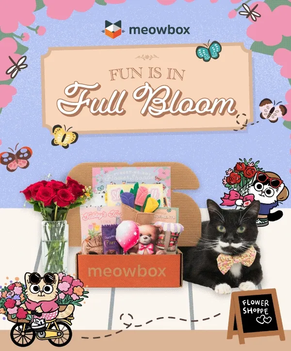 Fun is full bloom. Furget-me-not Flower Shoppe meowbox (featuring toys like the Tabby's Twine 2 Pack, Meowbile Arrangements, Cocoa and Cuddles 2 pack toys and more) next to a black and white cat wearing a bow tie with butterflies and flowers in front.