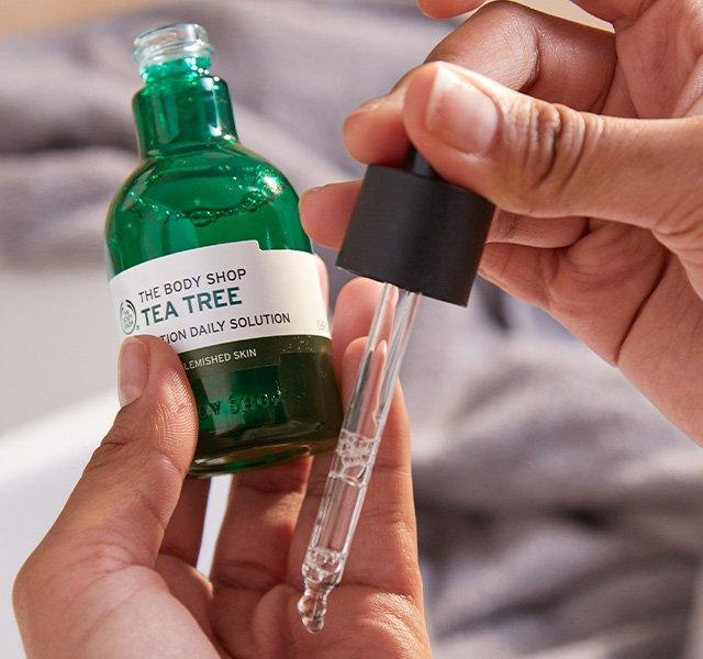 TEA TREE RANGE STARTING AT $8