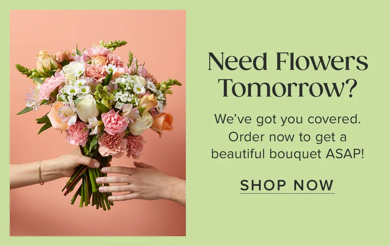 Need Flowers Tomorrow? We've got you covered.  Order now to get a beautiful bouquet ASAP! SHOP NOW
