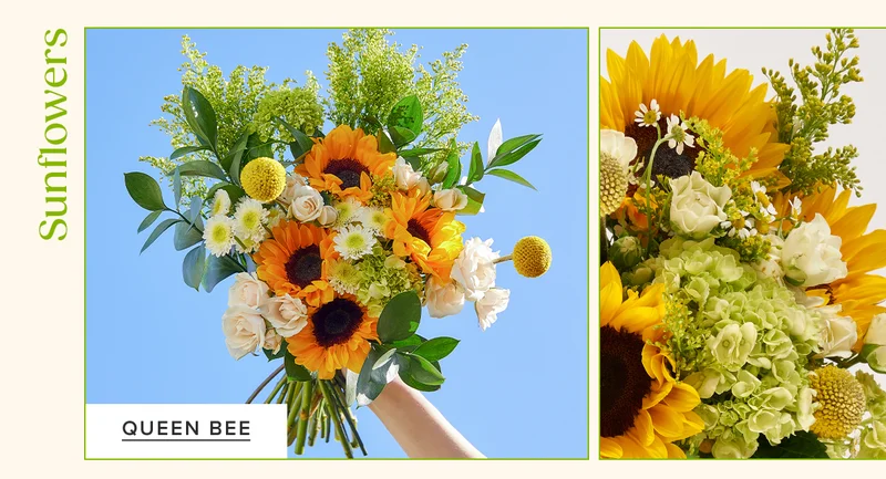 Shop Sunflowers. Featured Bouq: Queen Bee