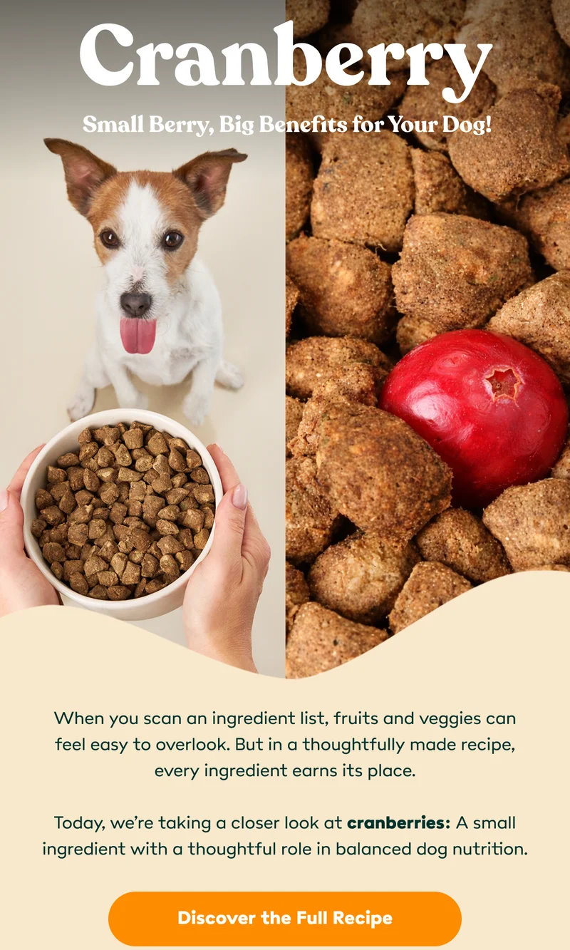Cranberries support your dog's health!